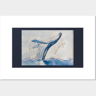 Breaching humpback whale. Posters and Art